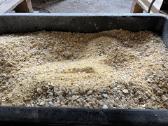Parduodamas Švediškas grūdų traiškituvas - nuotraukos Nr. 5