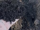 Kompostinė žemė savivarčiais ir didmaišiais