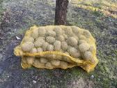 Soraja bulvės