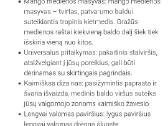 Stalviršis,neapdorotas mango masyvas - nuotraukos Nr. 4