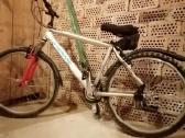 Dviratis Shimano
