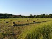 Šienas ir šiaudai kitkomis - nuotraukos Nr. 3