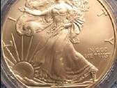 Moneta Usa 2009m. 1 dollar, sidabras