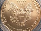 Moneta Usa 2009m. 1 dollar, sidabras - nuotraukos Nr. 2