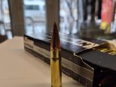 Sig Sauer 300 Acc