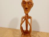 Statulele medine