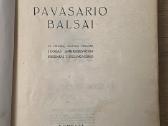Pavasario balsai 1944 - nuotraukos Nr. 2