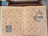 Knygos - nuotraukos Nr. 16