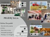 Kaimo turizmo sodyba "Pelėdų sala"