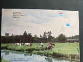 Nyderlandai 1987 rinkinys Unc - nuotraukos Nr. 6