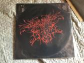 Ossuary Insane – Part III Decimation Of The Flesh - nuotraukos Nr. 4