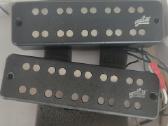 Bosines gitaros nuėmėjai