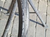 Padangos Plento Endurace Gravel 28 ratams - nuotraukos Nr. 24