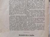 Laikraštis "Ateities spinduliai" - nuotraukos Nr. 6