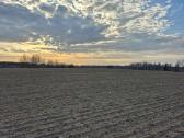 Žemės sklypas Žalakiškių k. - nuotraukos Nr. 11