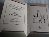 Su saule lijo - nuotraukos Nr. 2