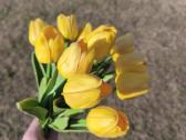 Dirbtines tulpes 12 vnt. - nuotraukos Nr. 2