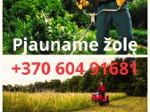 Žolės pjovimas,aplinkos tvarkymas - nuotraukos Nr. 2