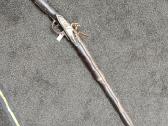 Titnagine muskieta