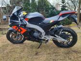 Aprilia RS 50