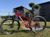 Pronghorn MTB dviratis 29 (Rėmas S)