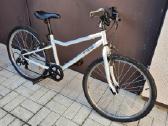 Hibridinis dviratis Riverside 100, 24 colių