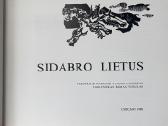 Sidabro lietus. 1990 Chicago. V. Civinskas - nuotraukos Nr. 2