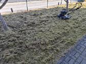 Vejos želdinimas, vaismedžių genėjimas, gyvatvorės - nuotraukos Nr. 7