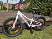 Specialized dviratukas