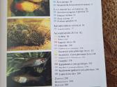 Didžioji akvariumų enciklopedija - nuotraukos Nr. 2