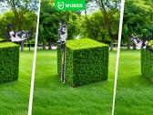 Akumuliatorinės gyvatvorių žirklės Wuber 48cm - nuotraukos Nr. 8
