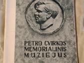 Cvirka - nuotraukos Nr. 10