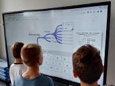 LG interaktyvus Smart ekranas mokymų lenta - nuotraukos Nr. 2