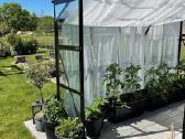 Stiklinis šiltnamis iš Švedijos 8m² - nuotraukos Nr. 3