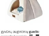 Augintinio guolis/namelis - nuotraukos Nr. 9