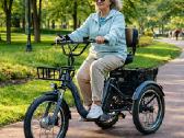 Triratis elektrinis dviratis Motiro Fatbike - nuotraukos Nr. 8