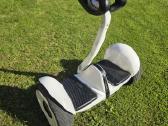 Riedis Ninebot-s