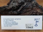Kolekcinė Vuosiuistin Kuusamon uistin - nuotraukos Nr. 5