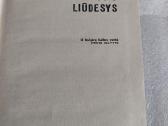 Didysis liūdesys - nuotraukos Nr. 2