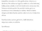 Parduodu pietų stalą - nuotraukos Nr. 3