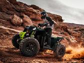 Polaris Oem alyvos,oro filtrai ir kitos dalys - nuotraukos Nr. 5