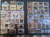 Siulau dideli kieki markiu kaina 145 eur. - nuotraukos Nr. 2