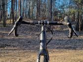 BMC Unrestricted (Urs) One - nuotraukos Nr. 5