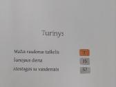 Šunojaus diena - nuotraukos Nr. 3