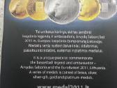 Siulau sabonio varini medali kaina 75 euru - nuotraukos Nr. 6