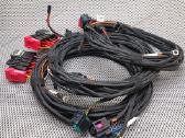 Webasto Thermo Top C, E, EVO laidų pynės