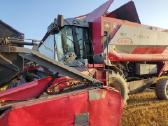 Parduodami dalimis Massey ferguson - nuotraukos Nr. 9