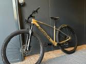 Orbea alma carbon
