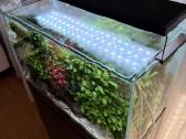 Ada 60p akvariumas su priedais