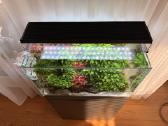 Ada 60p akvariumas su priedais - nuotraukos Nr. 3